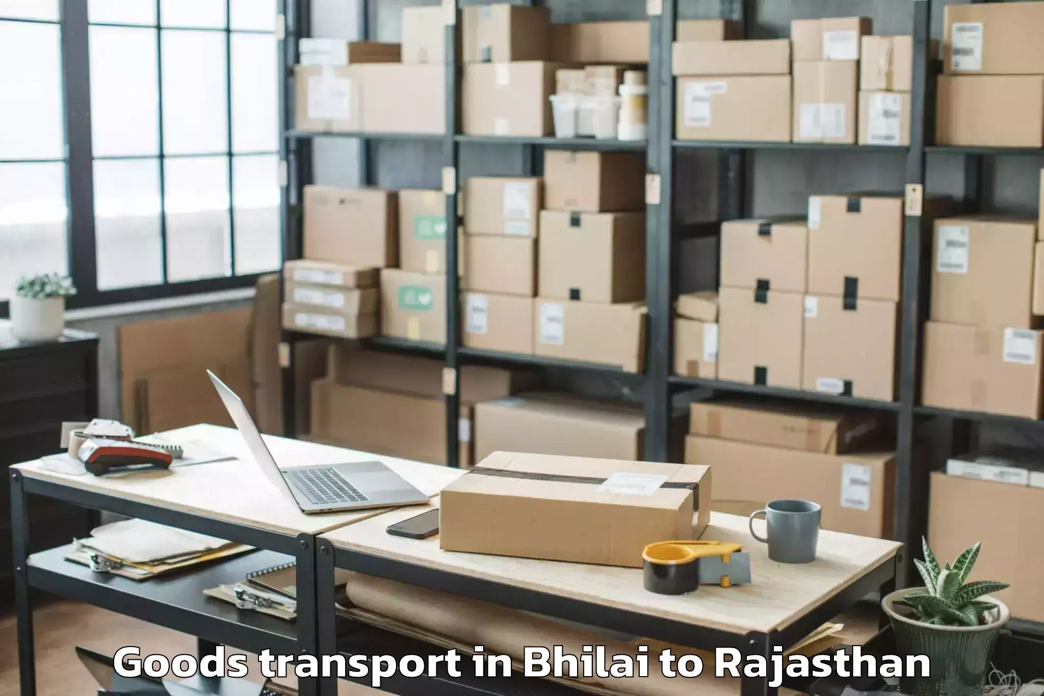 Get Bhilai to Geetanjali University Udaipur Goods Transport